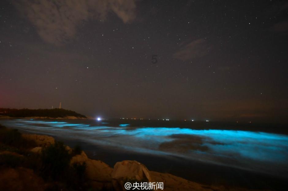 世界射箭锦标赛